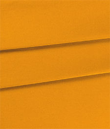 IMAGE_T