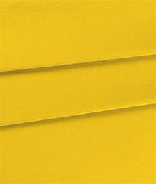 IMAGE_T