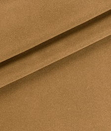IMAGE_T