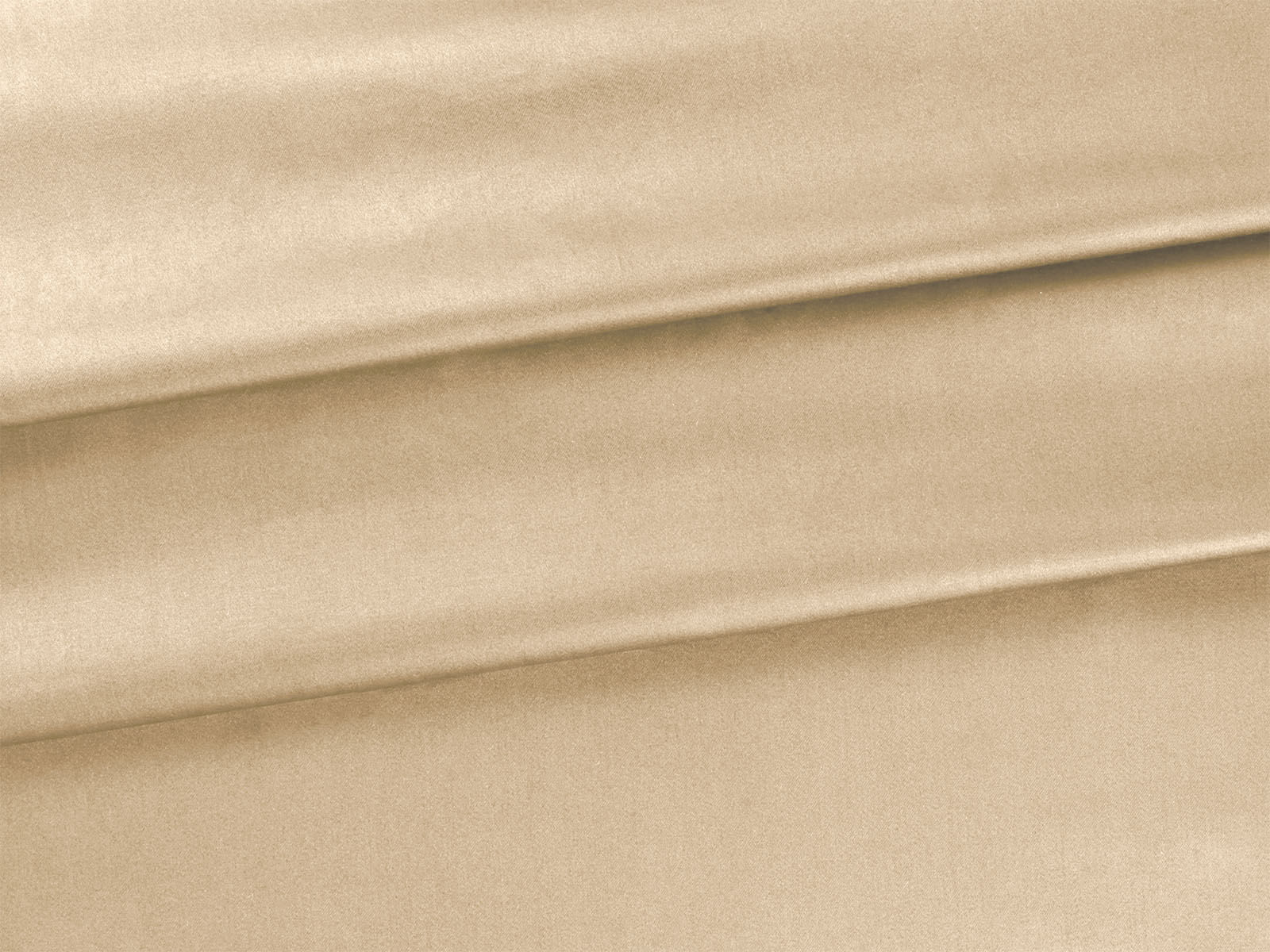 IMAGE_L