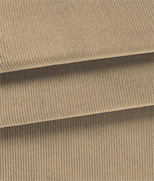 IMAGE_T