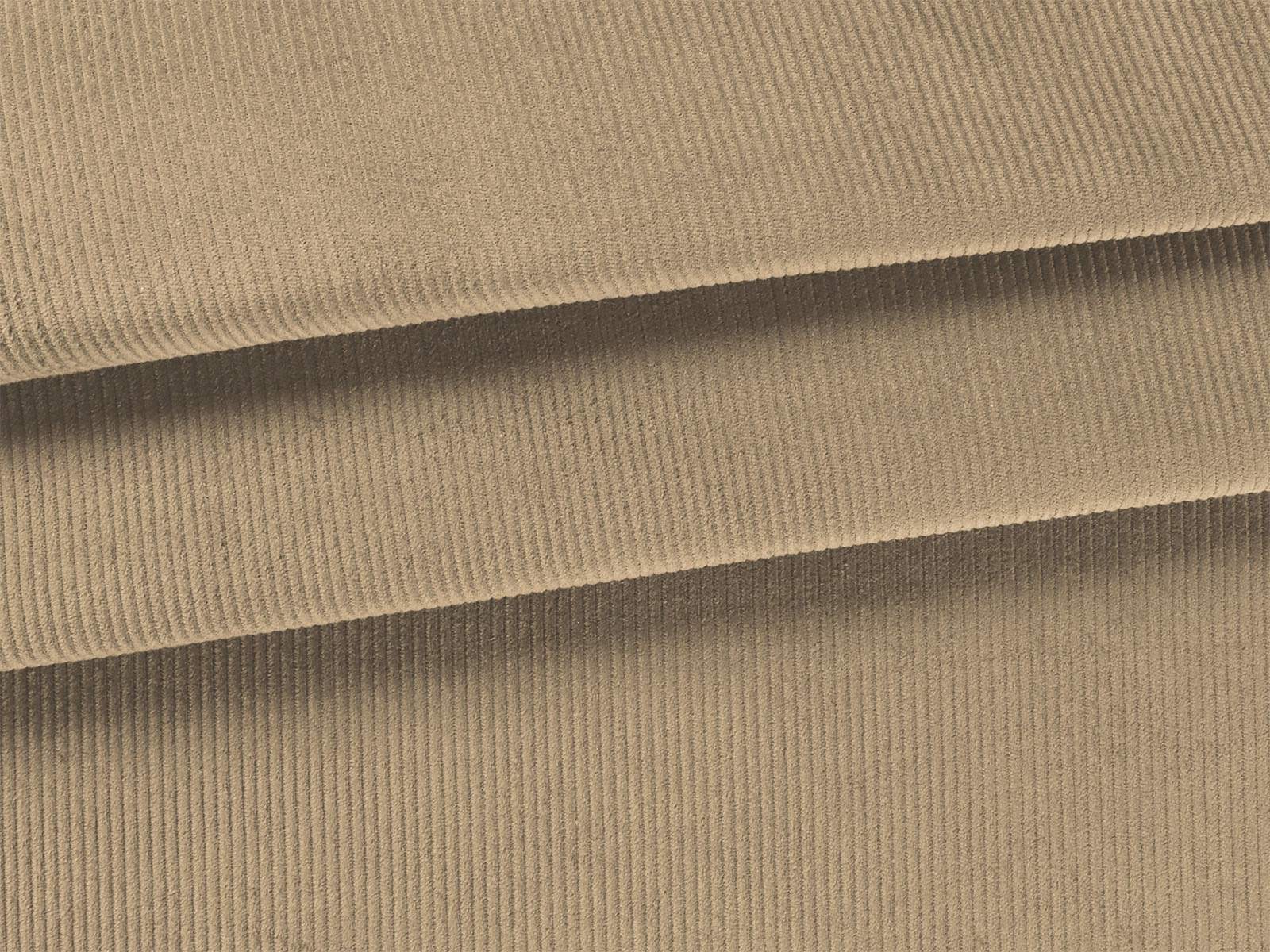 IMAGE_L