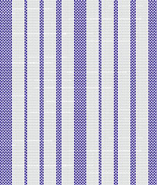 IMAGE_T