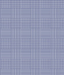 IMAGE_T