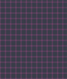 IMAGE_T