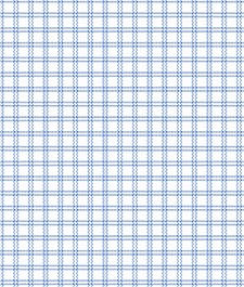IMAGE_T