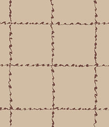 IMAGE_T