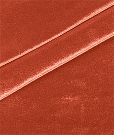 IMAGE_T