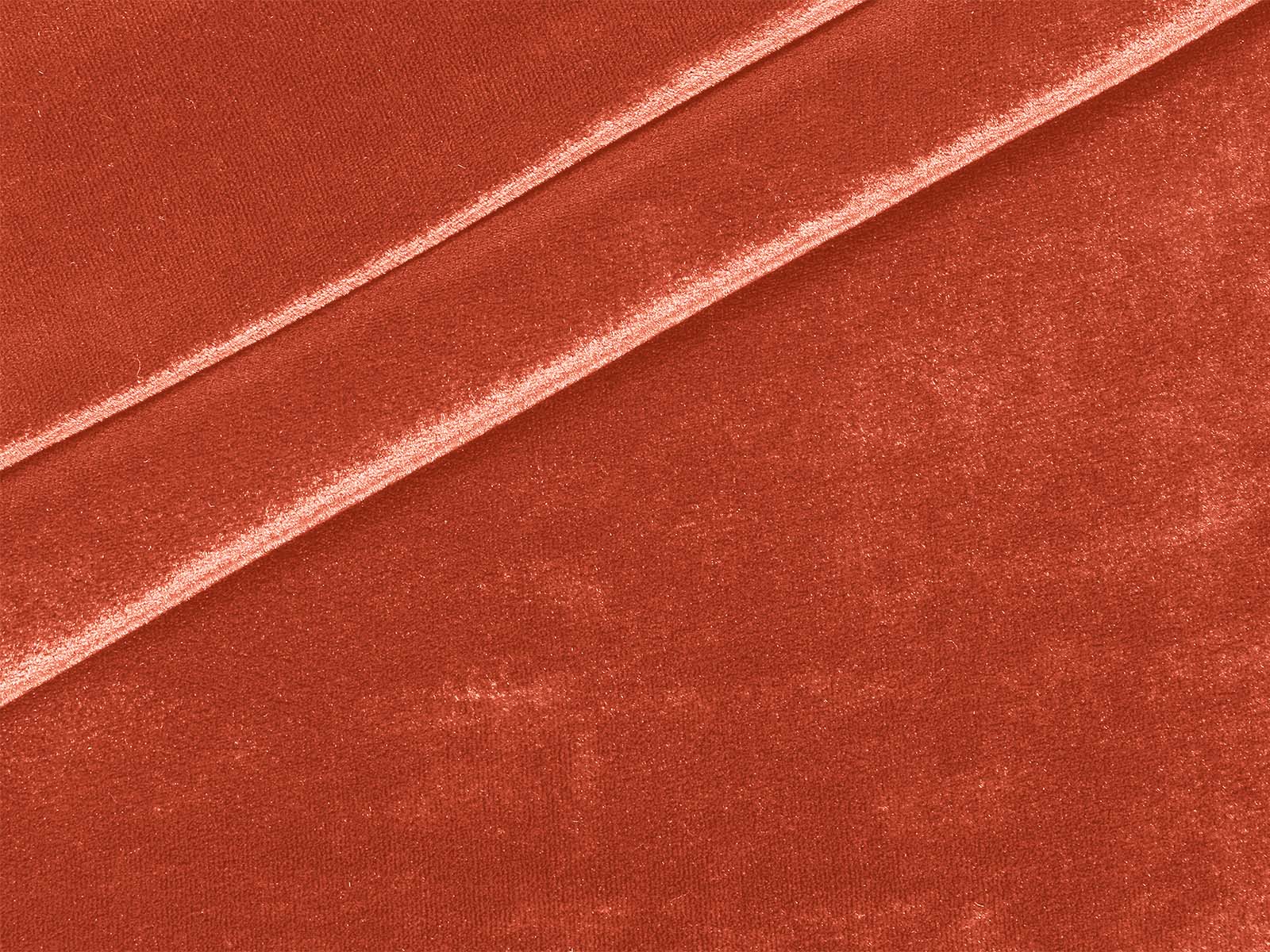 IMAGE_L