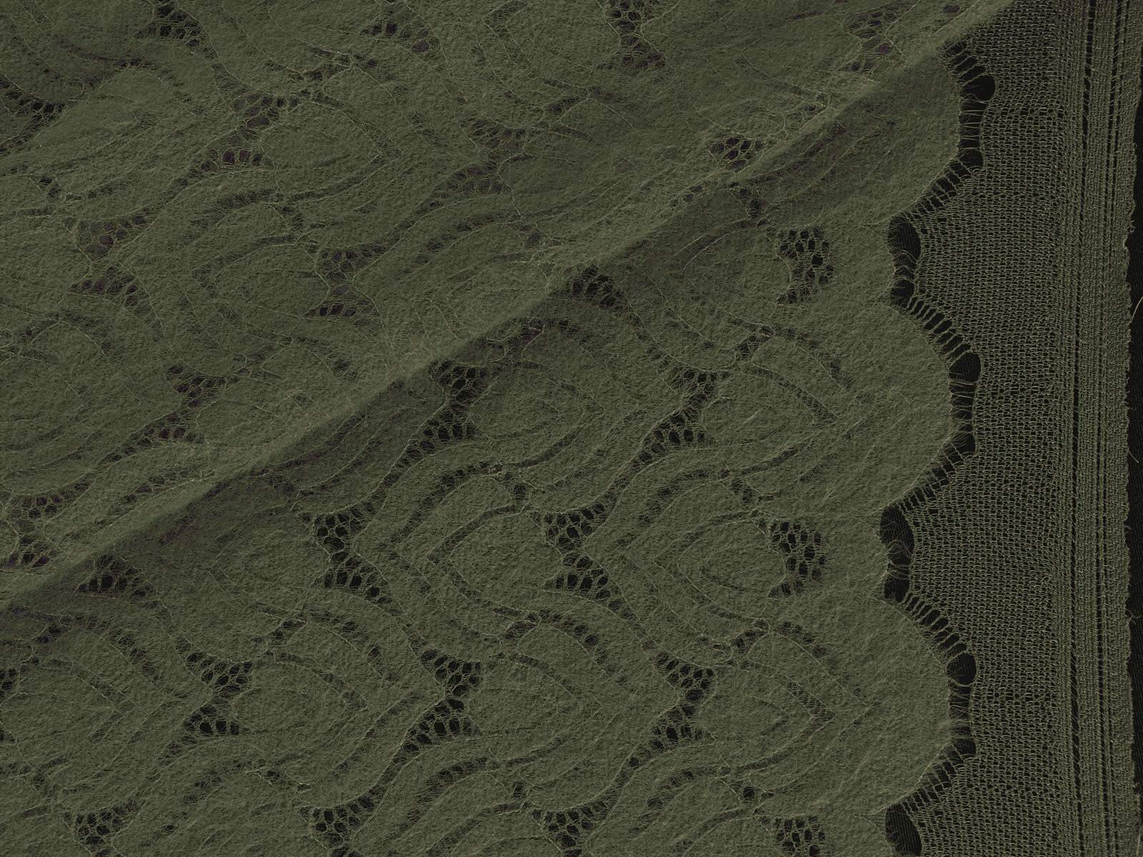 IMAGE_L