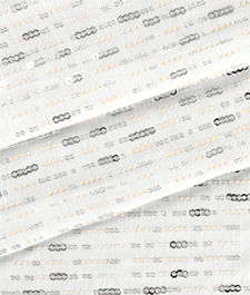 IMAGE_T