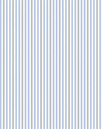 IMAGE_T