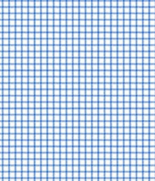IMAGE_T