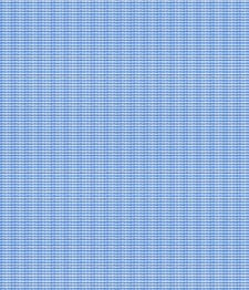 IMAGE_T