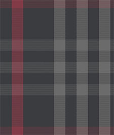 IMAGE_T