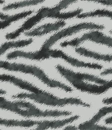 IMAGE_T
