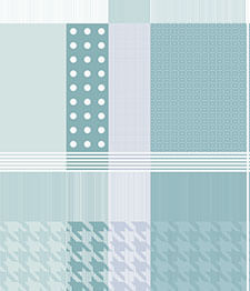 IMAGE_T