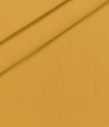 IMAGE_T