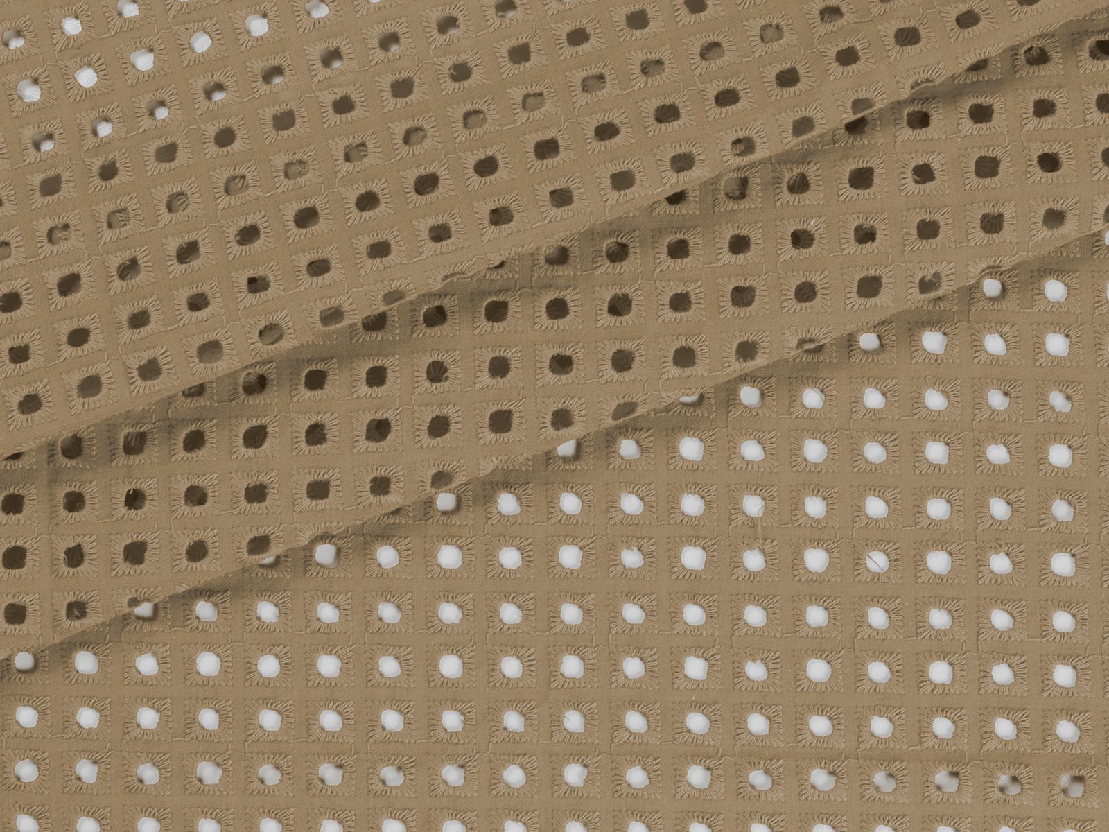 IMAGE_L