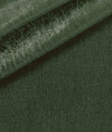 IMAGE_T