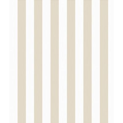 IMAGE_T