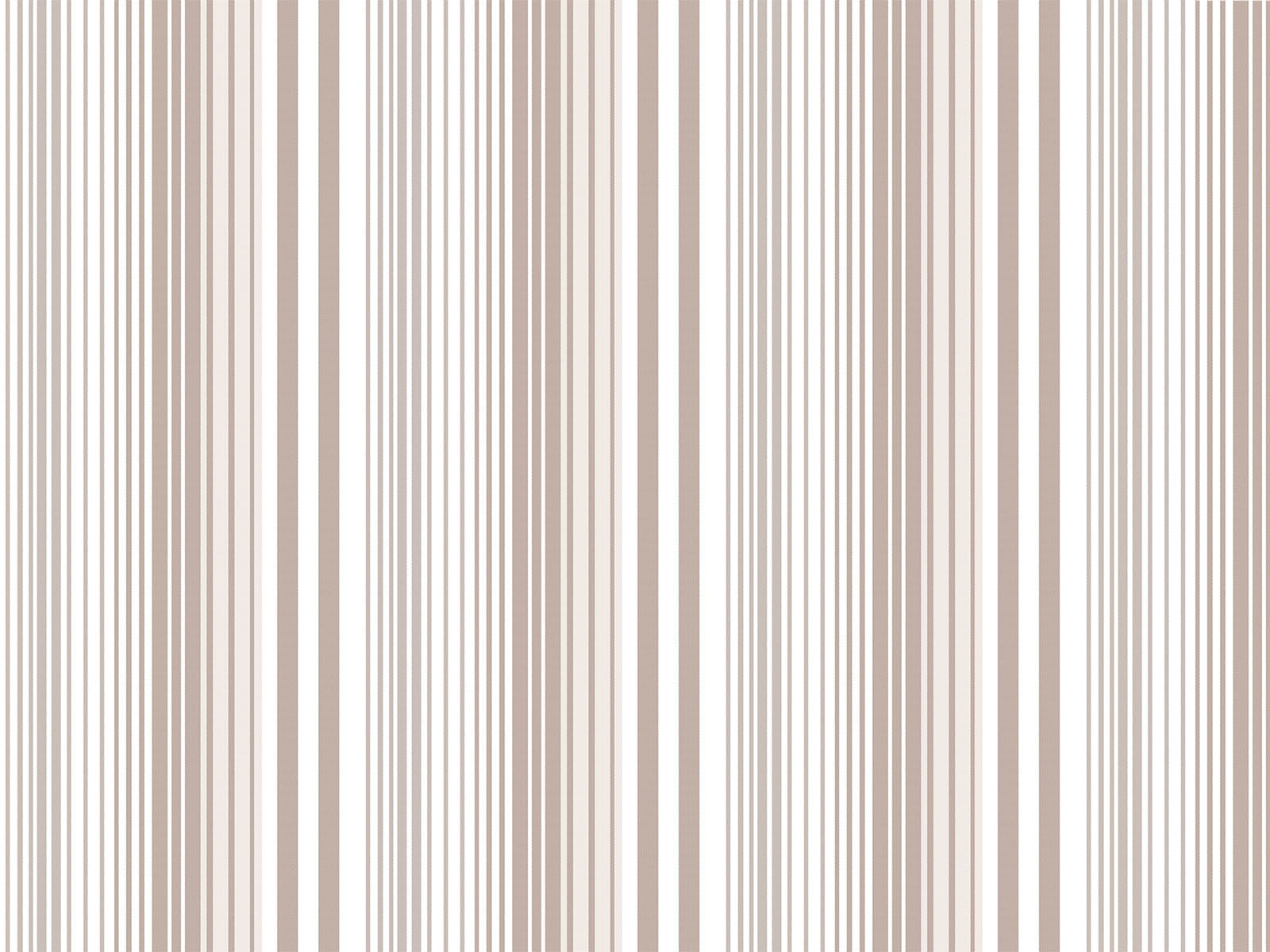 IMAGE_L