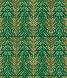 IMAGE_T