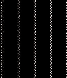 IMAGE_T