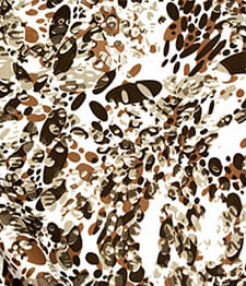 IMAGE_T