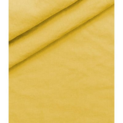 IMAGE_T