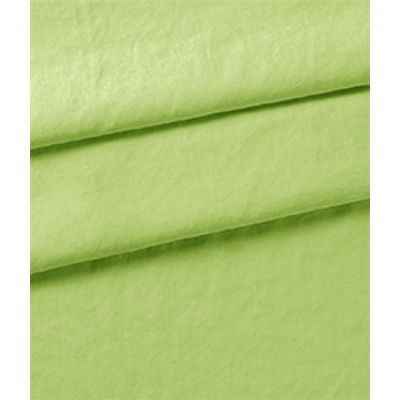 IMAGE_T