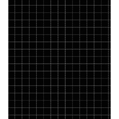 IMAGE_T