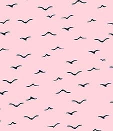 IMAGE_T