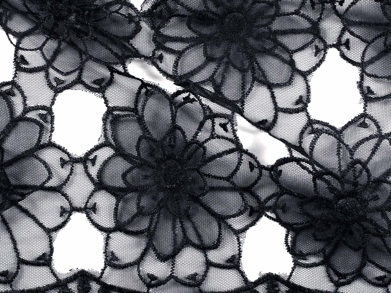 IMAGE_L