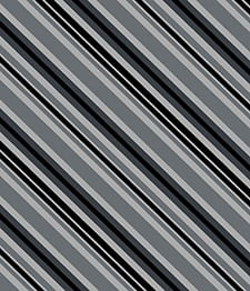 IMAGE_T