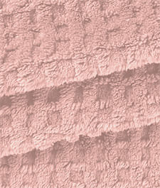 IMAGE_T