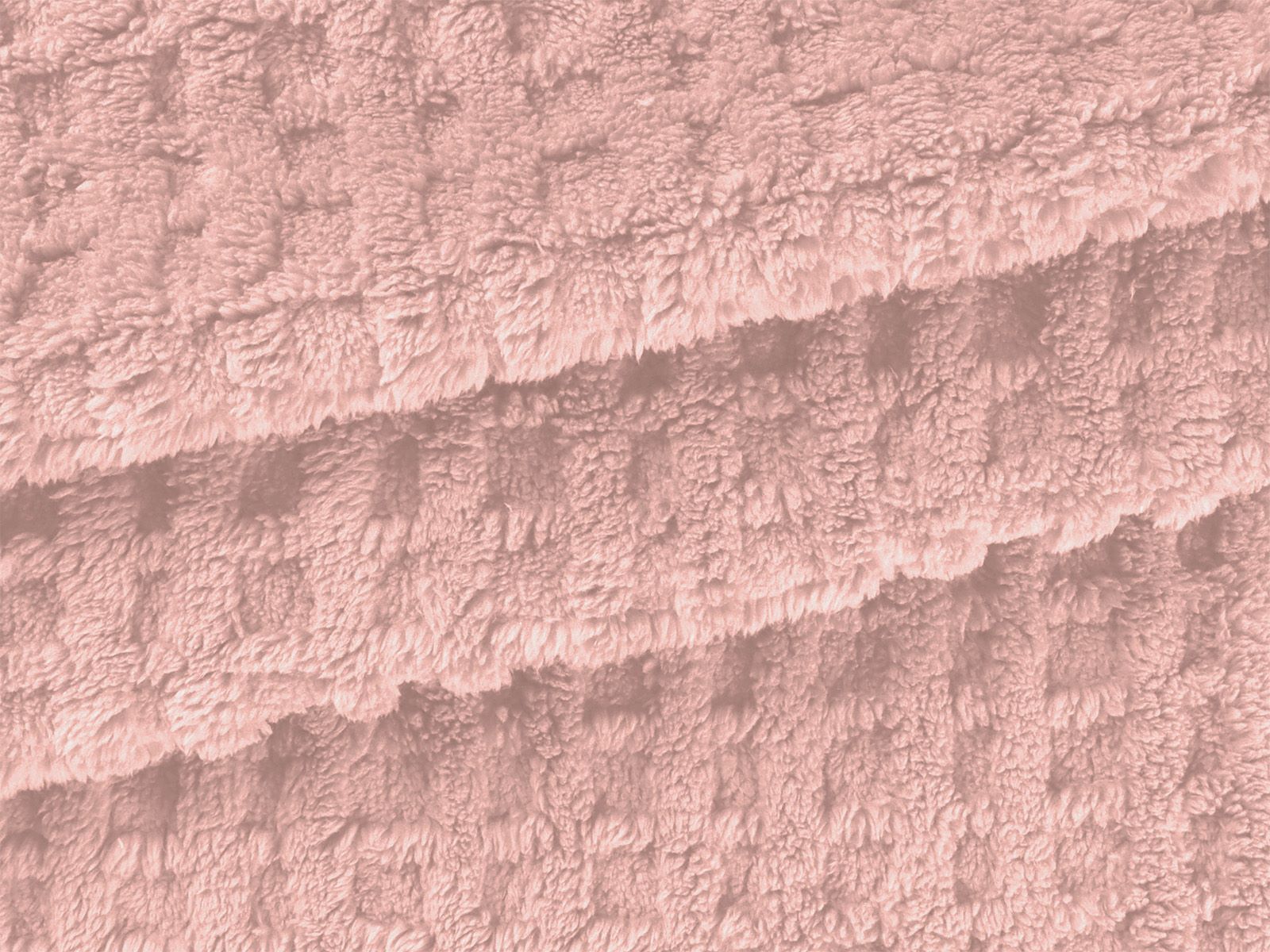 IMAGE_L