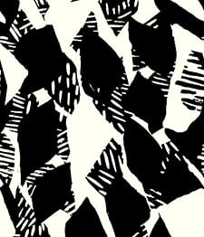 IMAGE_T