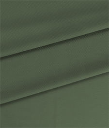 IMAGE_T
