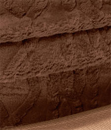 IMAGE_T