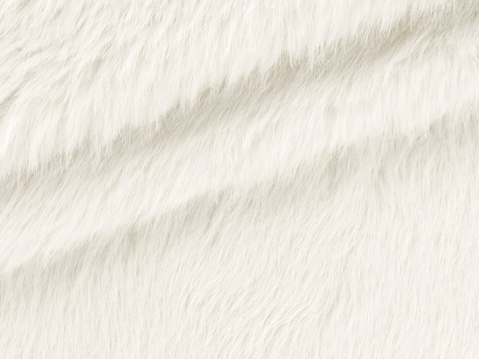 IMAGE_L