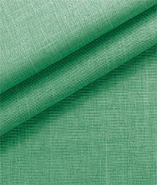 IMAGE_T