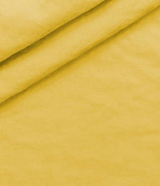 IMAGE_T