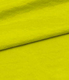 IMAGE_T