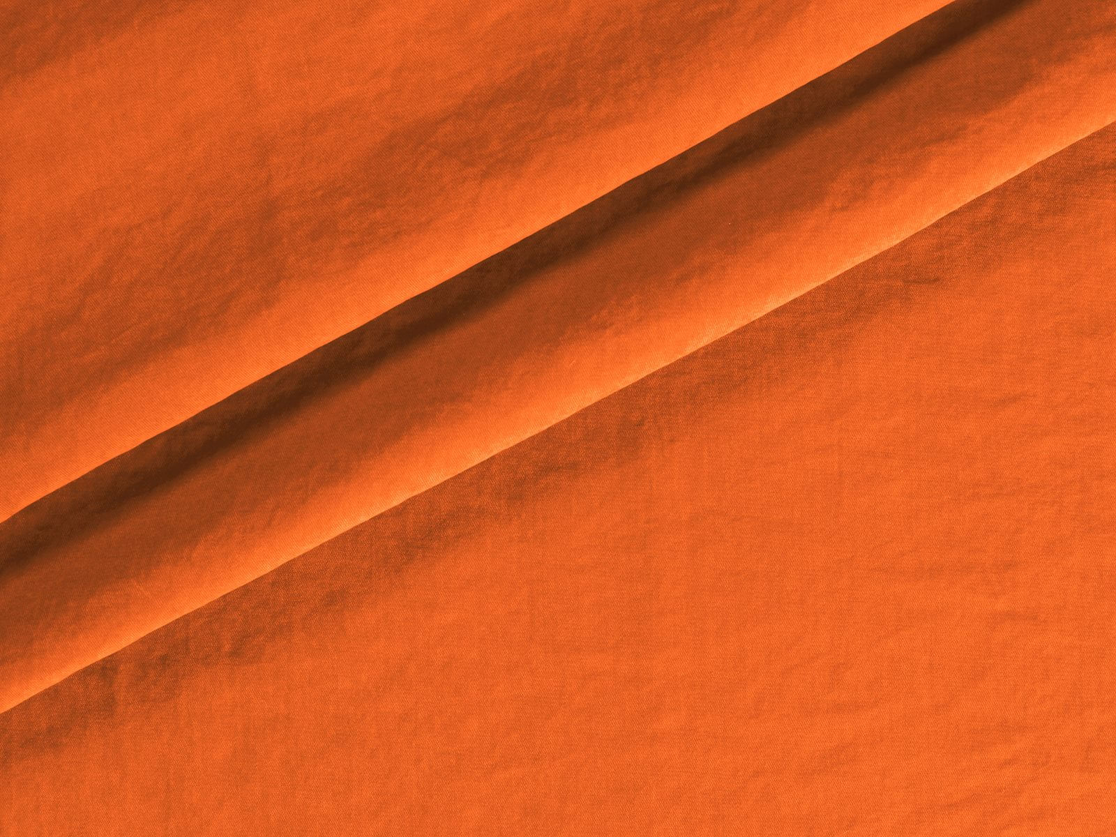IMAGE_L