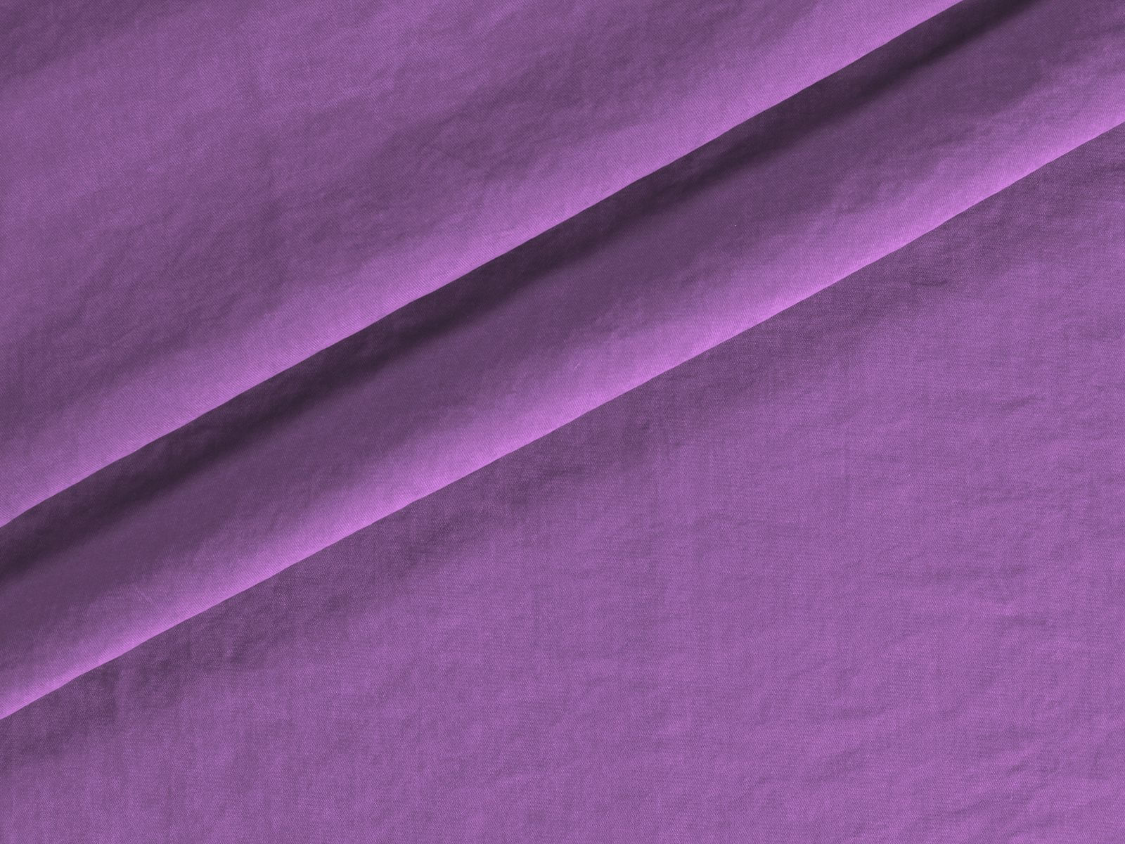 IMAGE_L