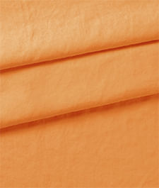 IMAGE_T