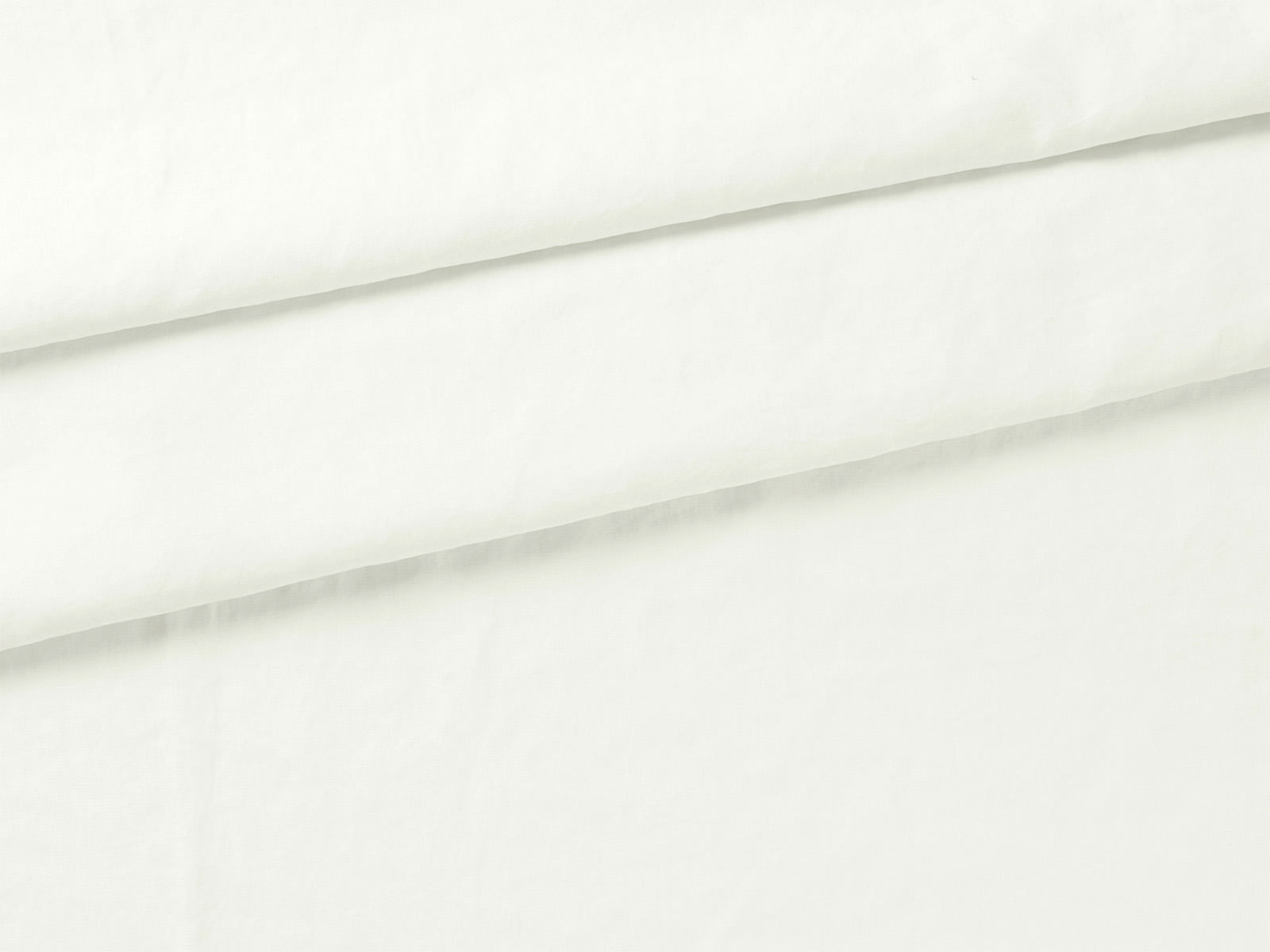 IMAGE_L