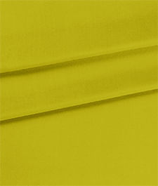 IMAGE_T