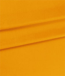 IMAGE_T